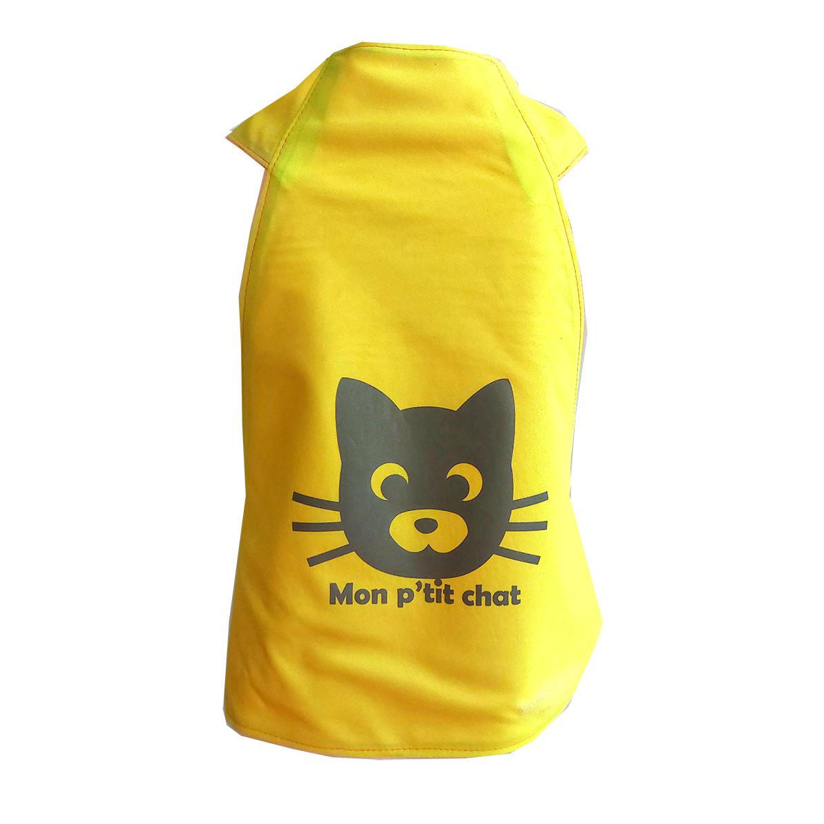 Vasi'Izocel Kid - Petit chat