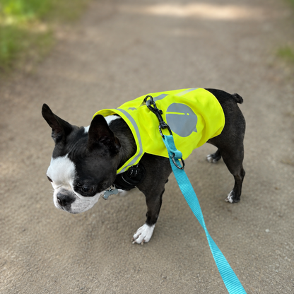 Gilet fluo pour petit chien