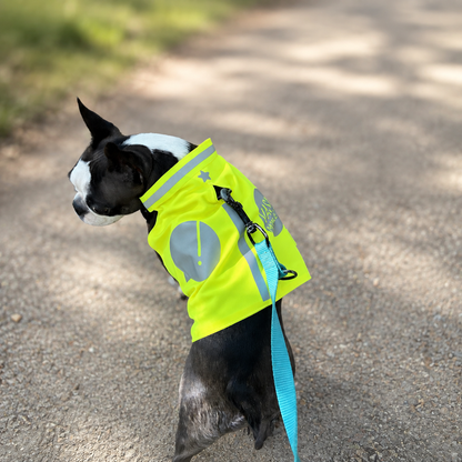 Gilet fluo pour petit chien