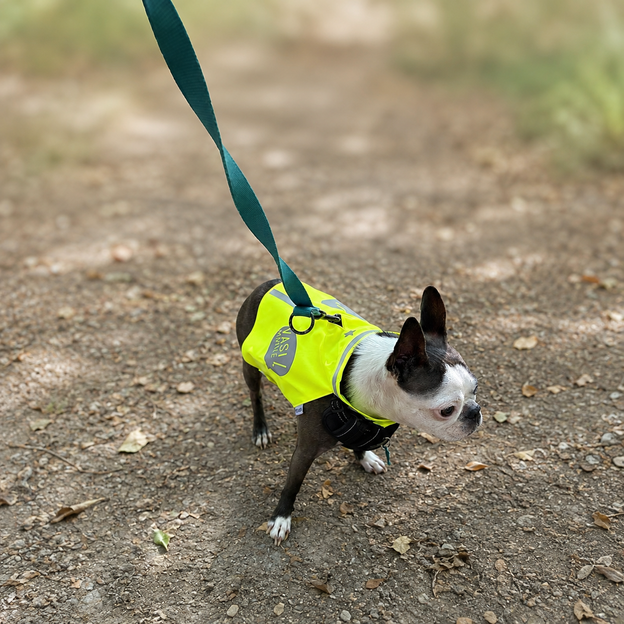 Gilet fluo pour petit chien