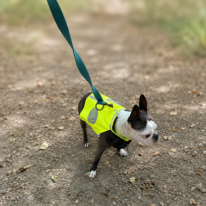 Gilet fluo pour petit chien